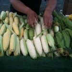 corn