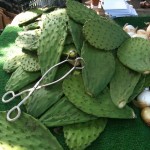 nopales