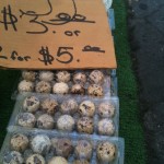 quail eggs