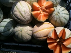 cantaloupe