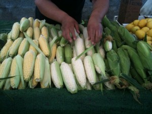 corn