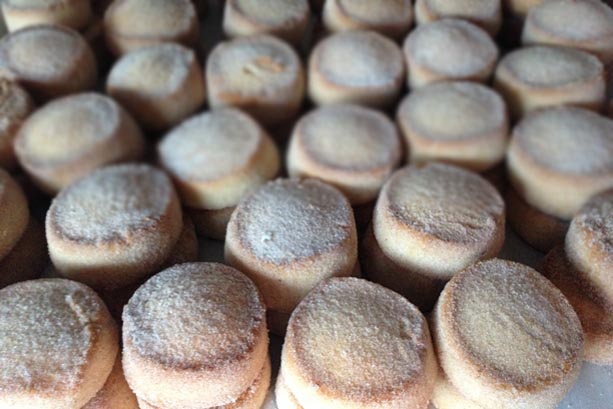SugarCookiesElsasBakery